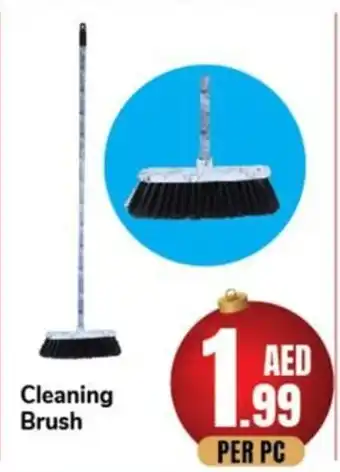 Day To Day Cleaning Brush Per pc offer