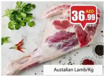 Amber Austalian Lamb kg offer