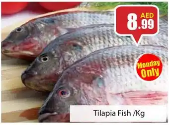 Amber Tilapia Fish Kg offer