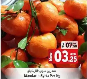 Kenz Hypermarket Mandarin Syria per kg offer