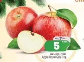 Safari Hypermarket Apple Royal Gala 1kg offer