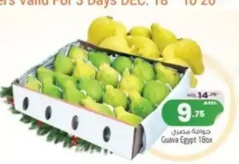 Safari Hypermarket Guava Egypt 1 Box offer