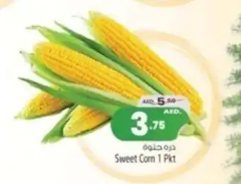 Safari Hypermarket Sweet Corn 1 Pkt offer