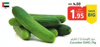 Union Coop Cucumber (UAE) /Kg offer