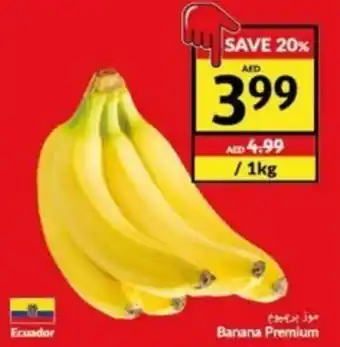 Viva Banana Premium offer