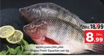 Nesto Tilapia Fresh Egyptian per kg offer