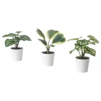 Ikea Fejka artifi potted plant w pot, set of 3, in/outdoor begonia, 6 cm offer