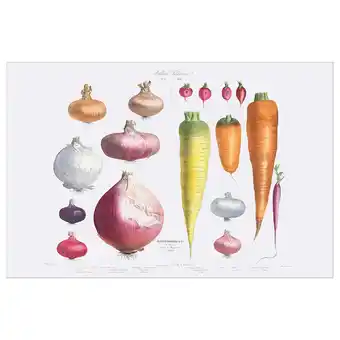 Ikea Pjätteryd picture, onions, radishes and carrots, 118x78 cm offer