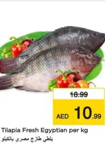 Nesto Tilapia Fresh offer