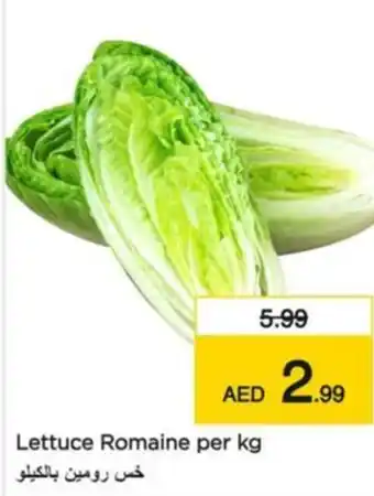 Nesto Lettuce Romaine offer