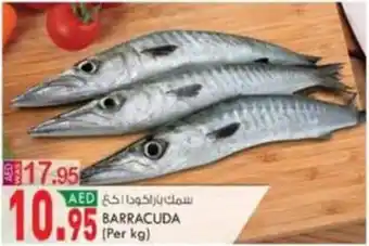 KM Trading BARRACUDA (Per kg) offer
