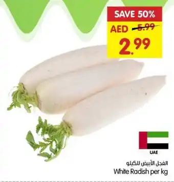 Gala Supermarket White Radish per kg offer