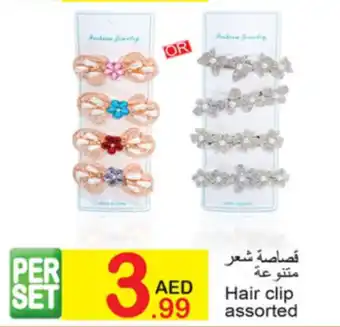 Green House Hair clip assorted offer