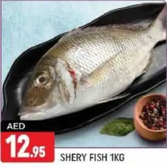 Shaklan SHERY FISH 1KG offer
