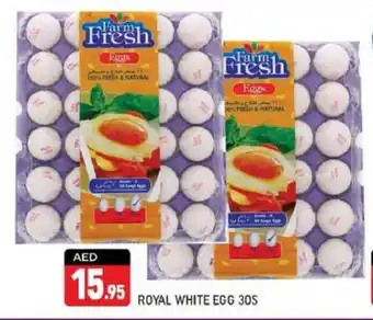 Shaklan ROYAL WHITE EGG 30S offer