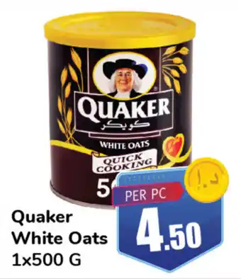 Day To Day Quaker White Oats 1x500 G offer