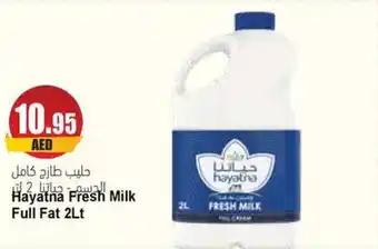Almaya supermarket Hayatna Milk Full Fat 2Lt offer