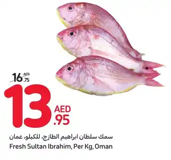 Carrefour Fresh Sultan Ibrahim, Per Kg, Oman offer