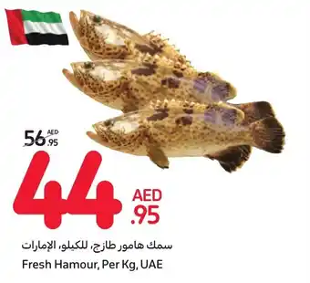 Carrefour Fresh Hamour, Per Kg, UAE offer