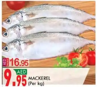 KM Trading MACKEREL Per kg offer