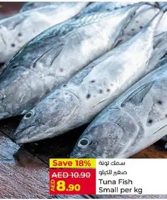 Lulu Hypermarket Tuna Fish Small per kg offer