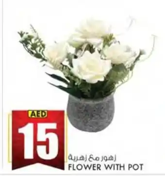KM Trading FLOWER WITH POT offer