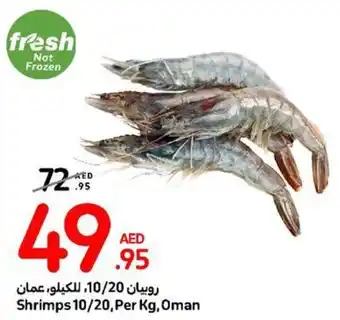 Carrefour Shrimps 10/20, Per Kg offer