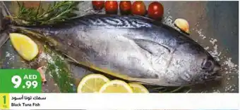 Istanbul Supermarket Black Tuna Fish offer