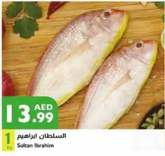 Istanbul Supermarket Sultan Ibrahim offer