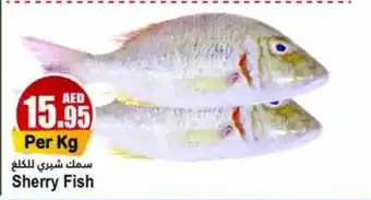 Almaya supermarket Sherry Fish offer