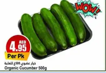 Almaya supermarket Organic Cucumber 500g offer