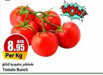 Almaya supermarket Tomato Bunch offer