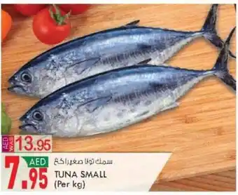 KM Trading TUNA SMALL offer