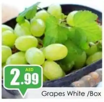 Amber Grapes White /Box offer