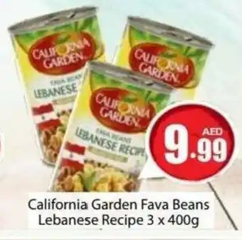 Amber California Garden Fava Beans Lebanese Recipe 3 x 400g offer