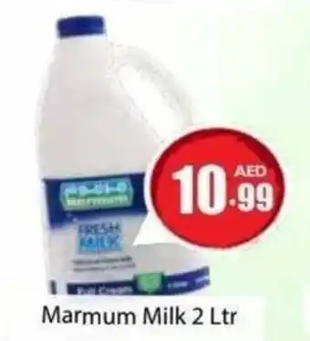Amber Marmum Milk 2 Ltr offer