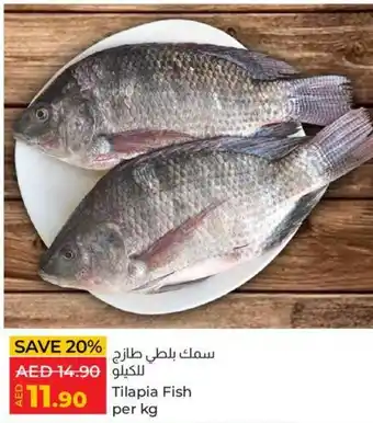 Lulu Hypermarket Tilapia Fish per kg offer