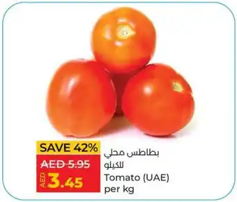 Lulu Hypermarket Tomato (UAE) per kg offer