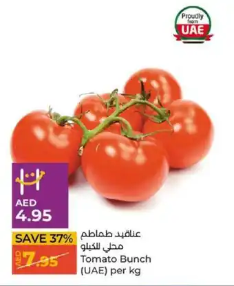 Lulu Hypermarket Tomato Bunch (UAE) per kg offer