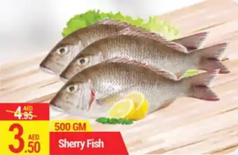 New W Mart Sherry Fish 500 GM offer