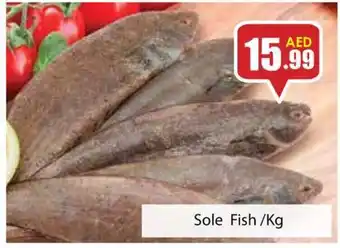 Amber Sole Fish/Kg offer