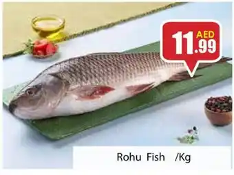 Amber Rohu Fish /Kg offer