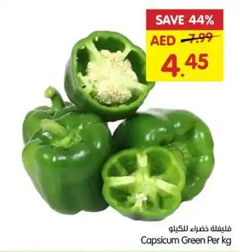 Gala Supermarket Capsicum Green Per kg offer