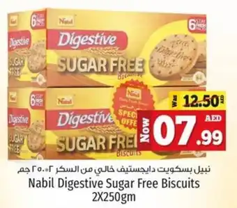 Kenz Hypermarket Nabil Digestive Sugar Free Biscuits 2 x 250gm offer