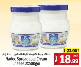 Kenz Hypermarket Nadec Spreadable Cream Cheese 2 x 500gm offer