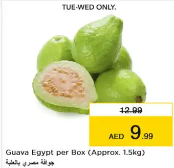Nesto Guava Egypt per Box (Approx. 1.5kg) offer
