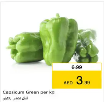Nesto Capsicum Green per kg offer