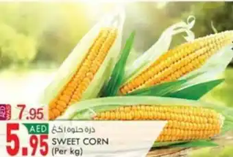 KM Trading SWEET CORN (Per kg) offer