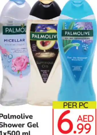 Day To Day Palmolive Shower Gel 1x500 ml offer