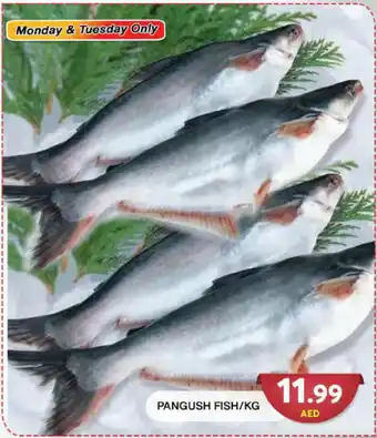 Grand Hyper Market PANGUSH FISH/KG offer